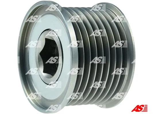 Alternator Freewheel Clutch (AFP6047)