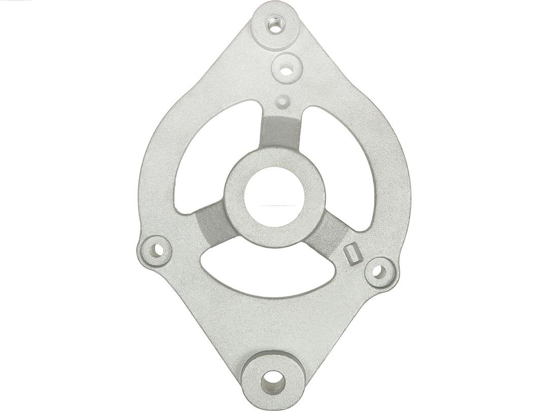Bracket, alternator drive flange (ABR4068S)