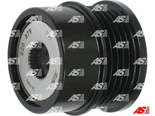 Alternator Freewheel Clutch (AFP0092(LITENS))