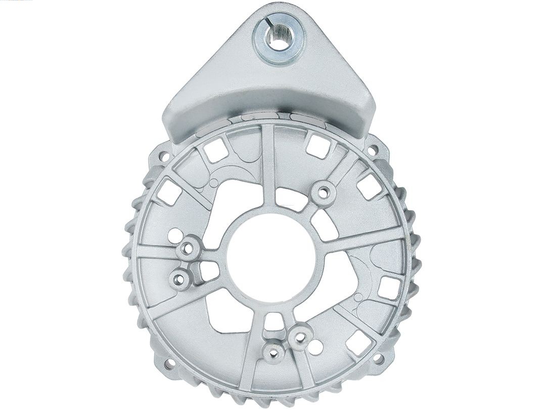 Bracket, alternator drive flange (ABR0219S)