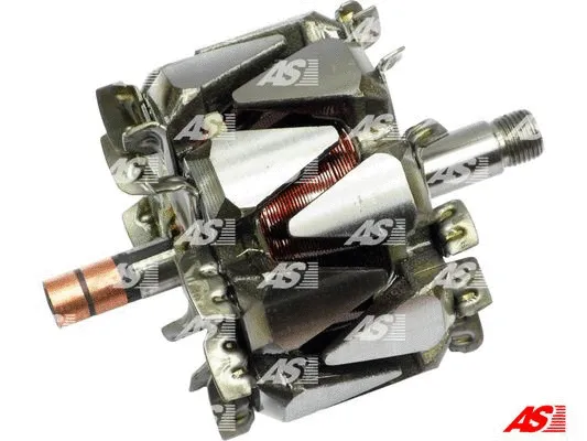 Rotor, alternator (AR3014)