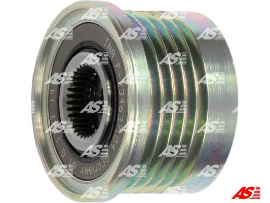 Alternator Freewheel Clutch (AFP3011(INA))