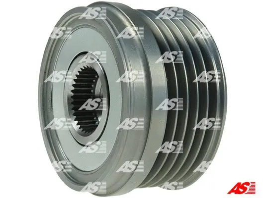 Alternator Freewheel Clutch (AFP0026)