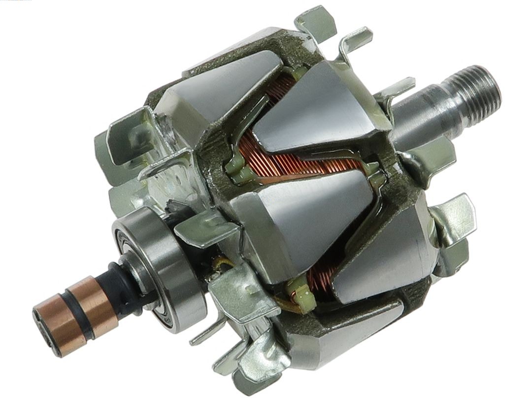Rotor, alternator (AR0125S)