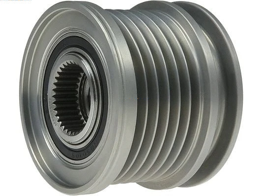 Alternator Freewheel Clutch (AFP0005(V))
