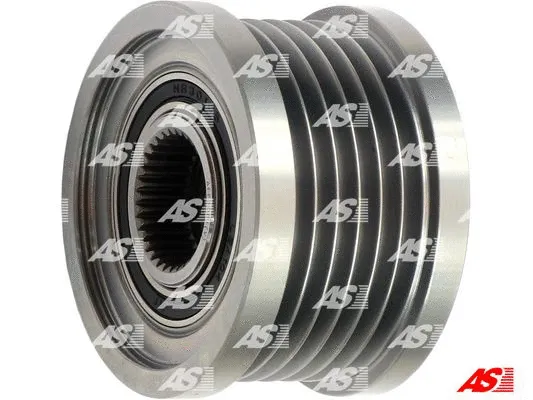 Alternator Freewheel Clutch (AFP2001(V))