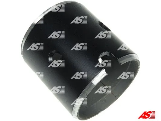 Field Winding, starter (SF5040S)