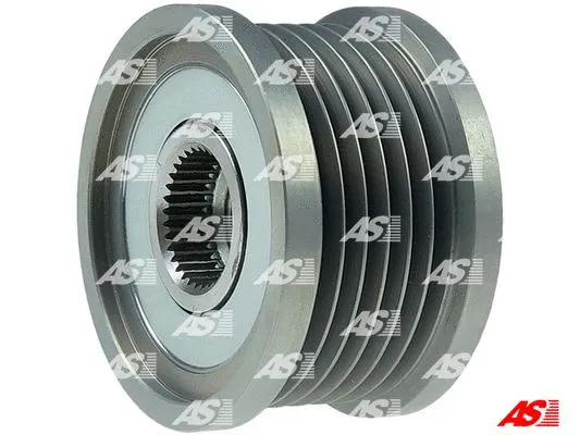 Alternator Freewheel Clutch (AFP1005)