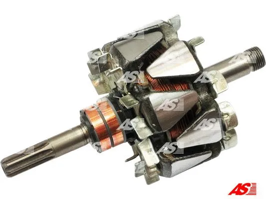 Rotor, alternator (AR5025)