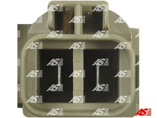 Alternator Regulator