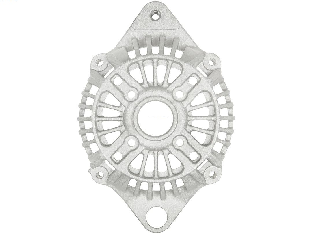 Bracket, alternator drive flange (ABR5169S)