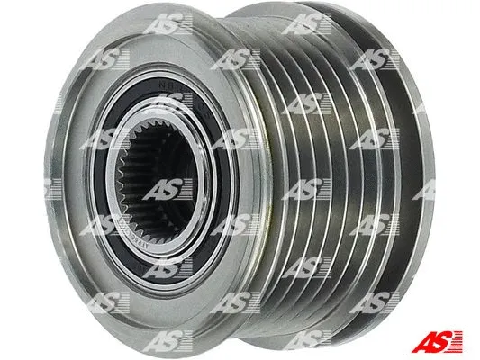 Alternator Freewheel Clutch (AFP6012(V))