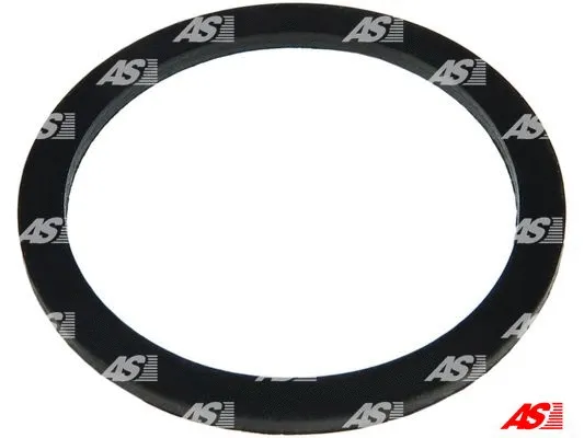 Repair Set, alternator (SRS0139)