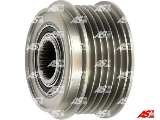 Alternator Freewheel Clutch (AFP3004(V))