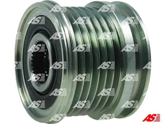 Alternator Freewheel Clutch (AFP3021(INA))
