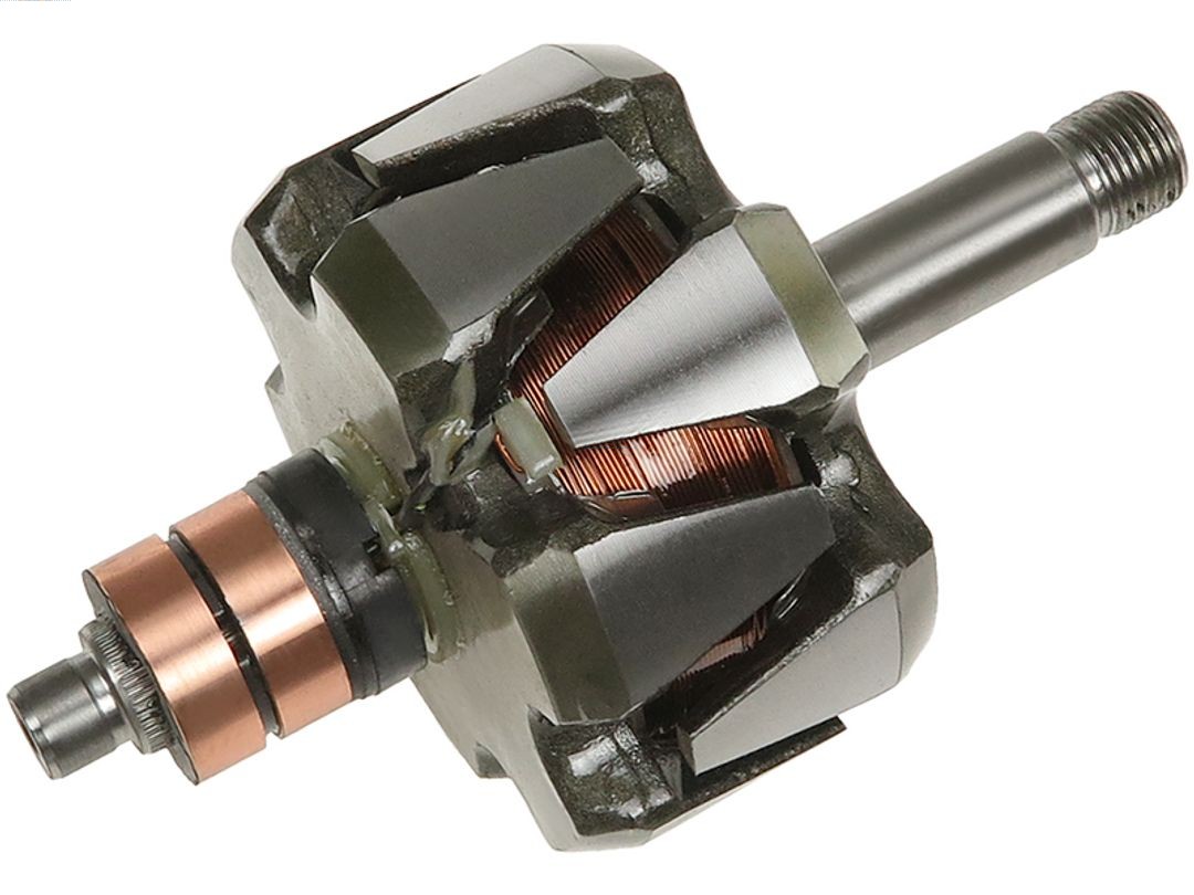 Rotor, alternator (AR9041S)