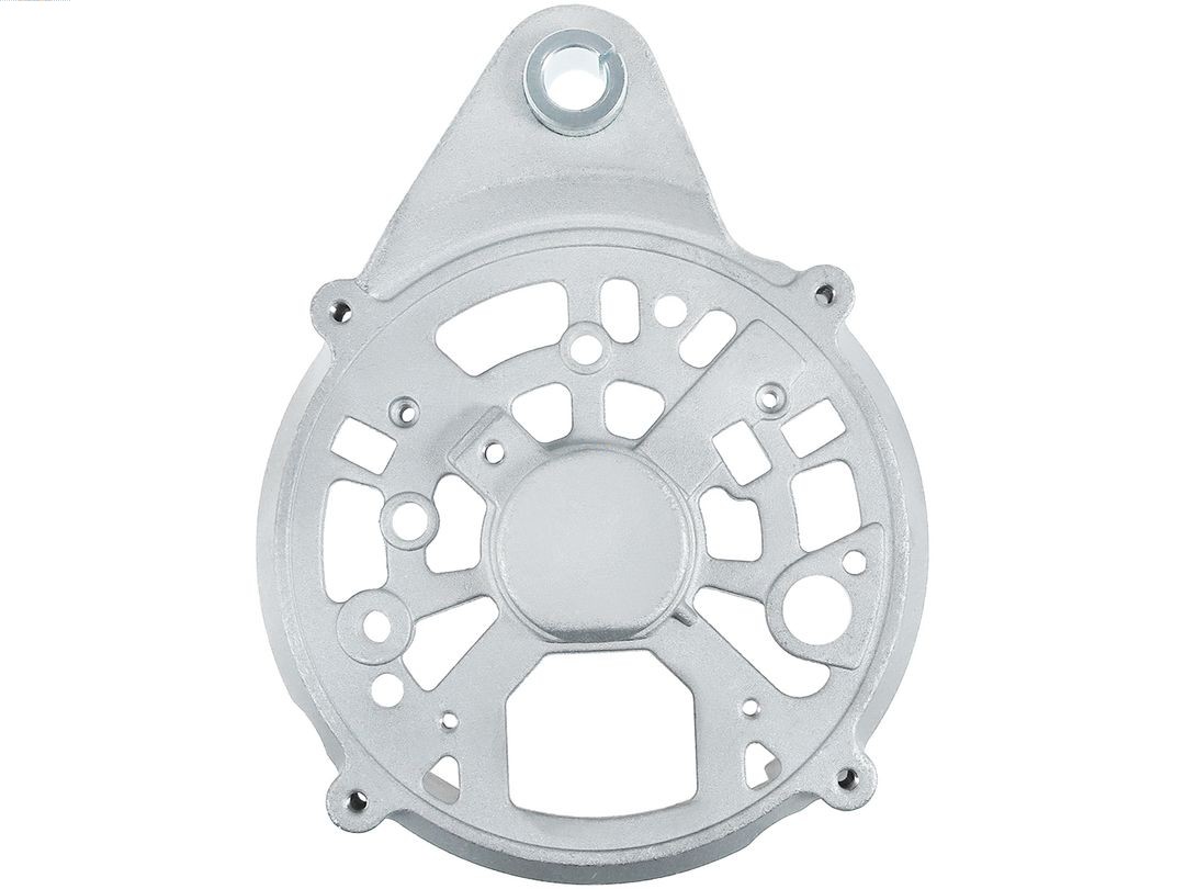 Bracket, alternator drive flange (ABR0199S)