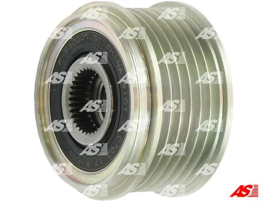 Alternator Freewheel Clutch (AFP3035(INA))