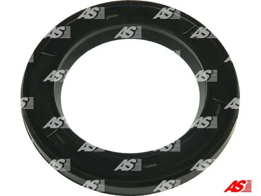 Repair Set, alternator (SRS9101S)