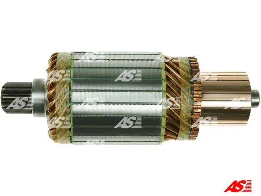 Armature, starter (SA2007)