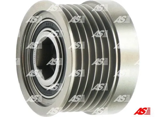 Alternator Freewheel Clutch (AFP6018(V))