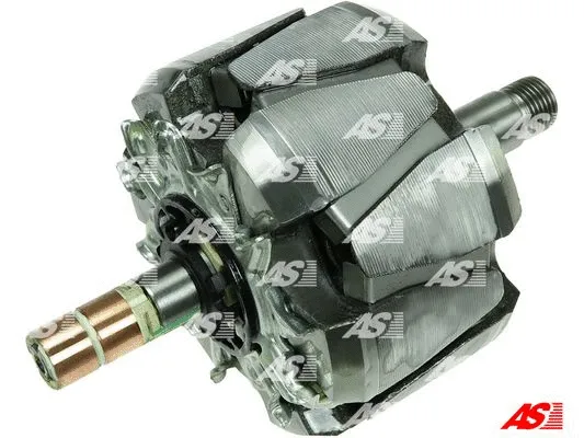 Rotor, alternator (AR3029S)