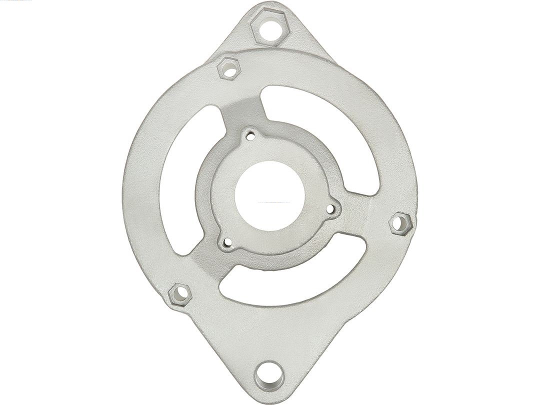 Bracket, alternator drive flange (ABR4069S)