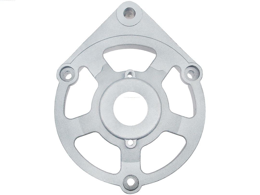 Bracket, alternator drive flange (ABR9078S)