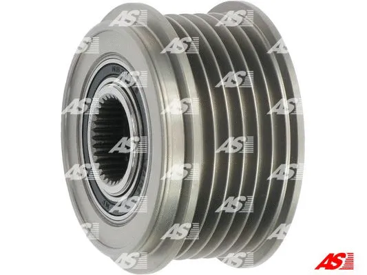 Alternator Freewheel Clutch (AFP4005(V))