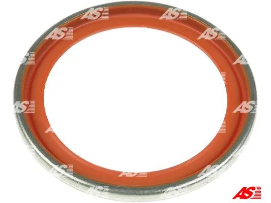 Repair Set, alternator (SRS0209S)