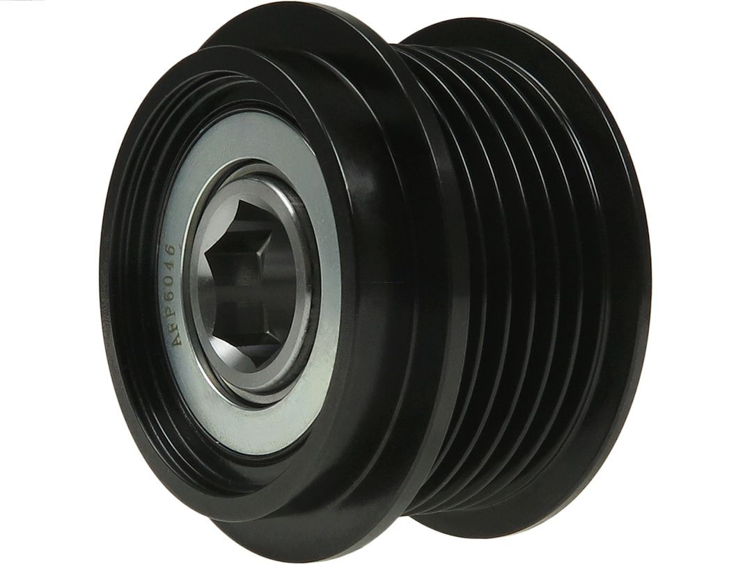 Alternator Freewheel Clutch (AFP6046)