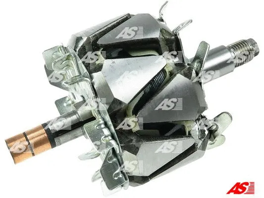 Rotor, alternator (AR6024)