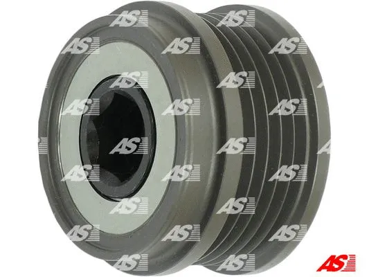Alternator Freewheel Clutch (AFP6027)
