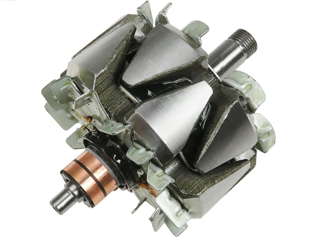 Rotor, alternator (AR5002)