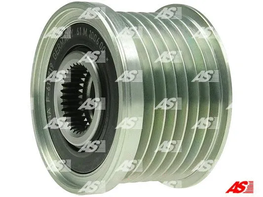 Alternator Freewheel Clutch (AFP6054(INA))