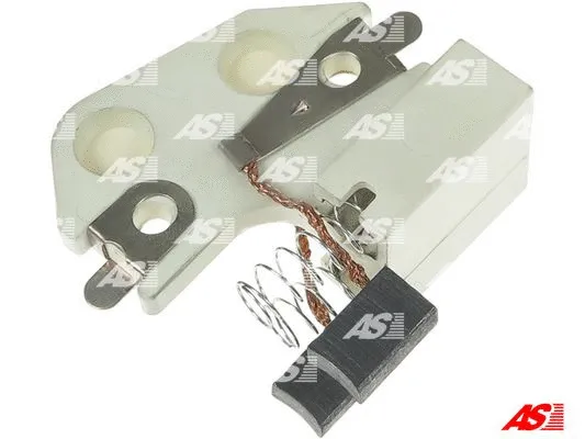 Holder, carbon brushes