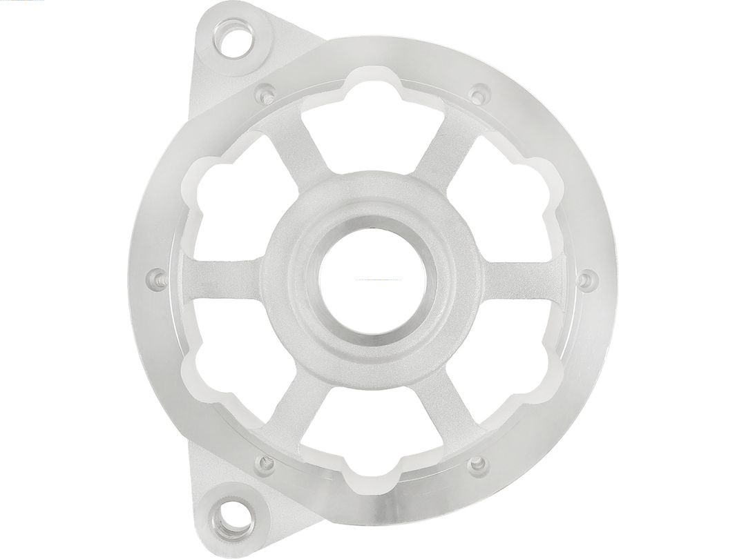 Bracket, alternator drive flange (ABR9054S)