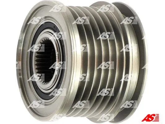 Alternator Freewheel Clutch (AFP3028(V))