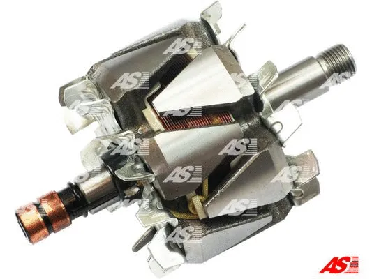 Rotor, alternator (AR0054)