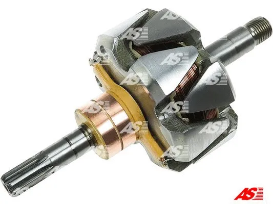 Rotor, alternator (AR2021S)