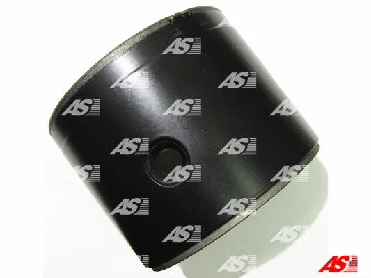 Field Winding, starter (SF9013)