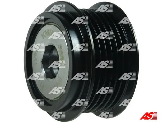 Alternator Freewheel Clutch (AFP6049(LITENS))