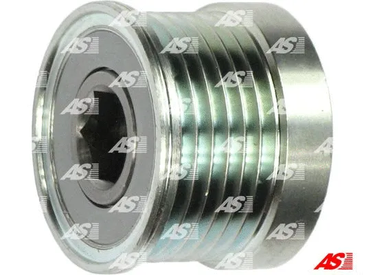 Alternator Freewheel Clutch (AFP6018)