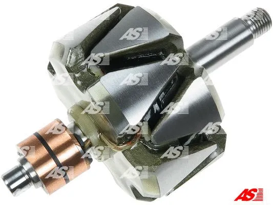 Rotor, alternator (AR0089S)
