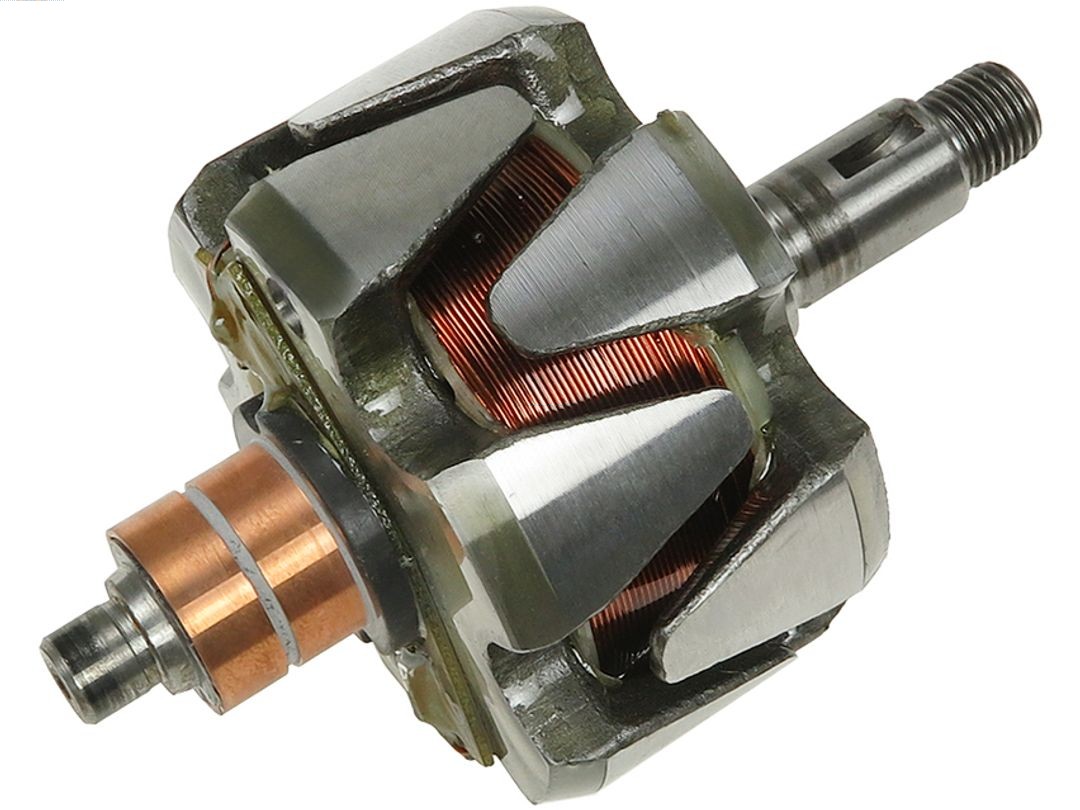 Rotor, alternator (AR4009)