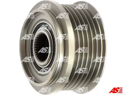Alternator Freewheel Clutch (AFP5001(V))