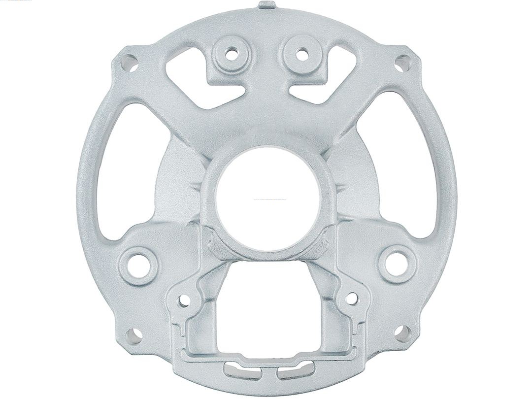 Bracket, alternator drive flange (ABR3100S)