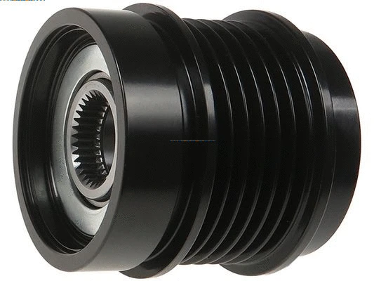 Alternator Freewheel Clutch (AFP0117S)