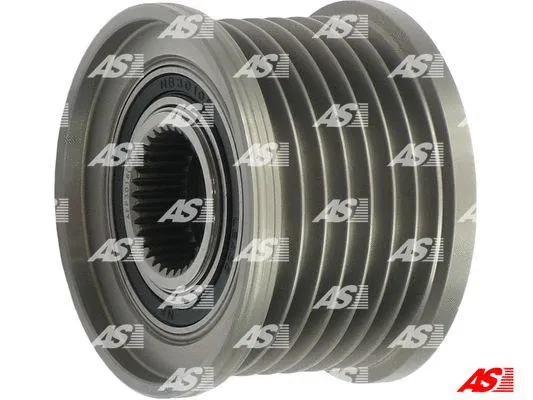 Alternator Freewheel Clutch (AFP3016(V))