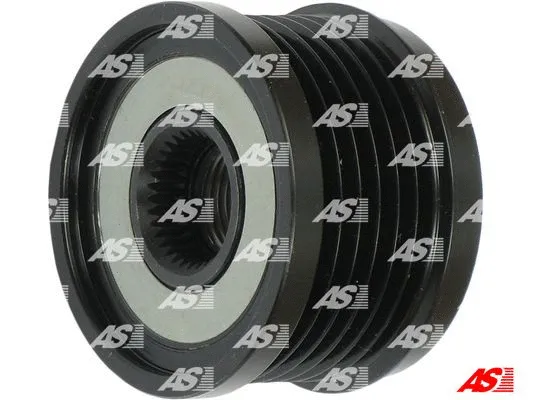 Alternator Freewheel Clutch (AFP6031)